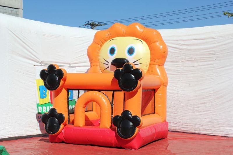 Piscina de Bolinha Leãozinho