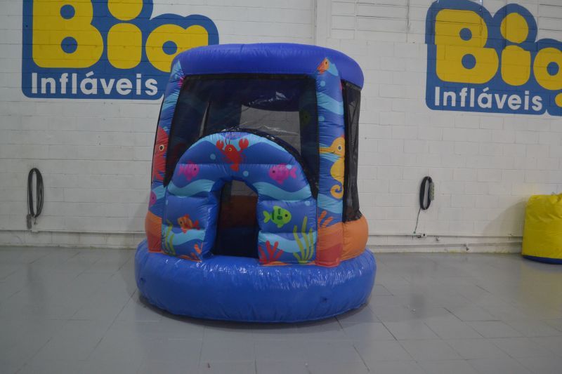 Piscina de Bolinha Redondinha - Fundo do Mar