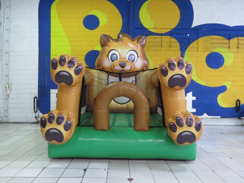 Pula Pula Gatinho